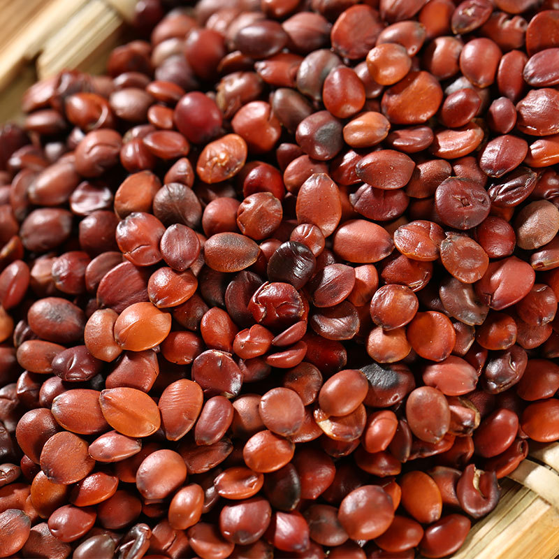 Sour jujube seed Suan Zao Ren