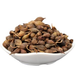 Chinese herbal medicine Forsythia suspensa