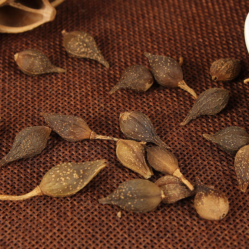 Chinese herbal medicine Forsythia suspensa