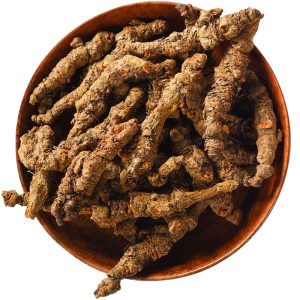 herb Coptis chinensis Good medicine for clearing heat and detoxifying