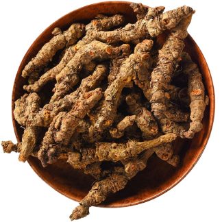 herb Coptis chinensis Good medicine for clearing heat and detoxifying