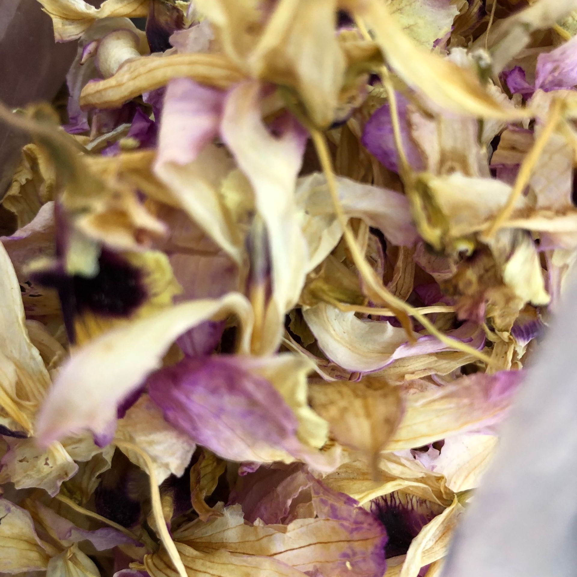 Dendrobium flower tea chinese herbal medicine 5 Dendrobium flower tea chinese herbal medicine - Image 5