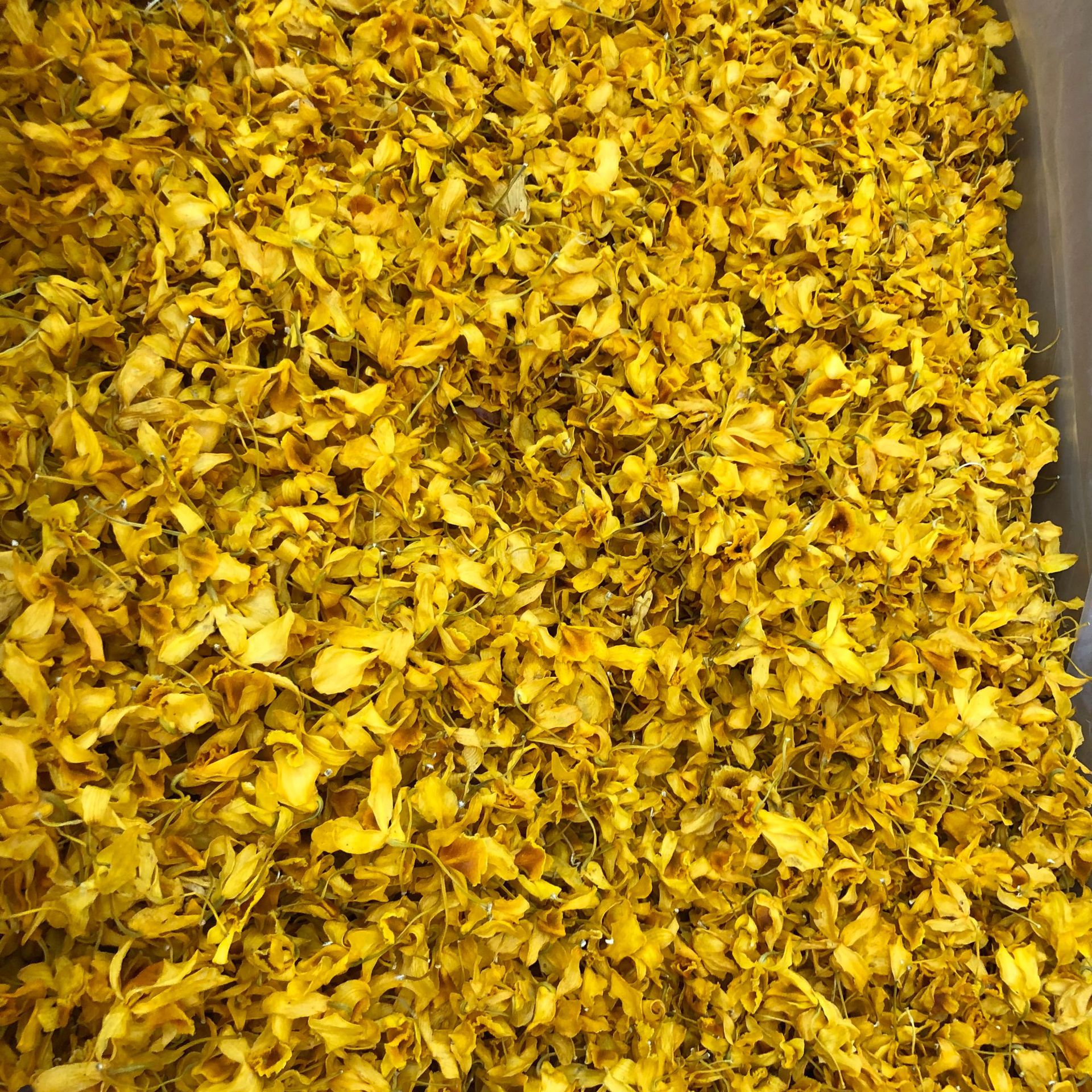 Dendrobium flower tea chinese herbal medicine 3 Dendrobium flower tea chinese herbal medicine - Image 3