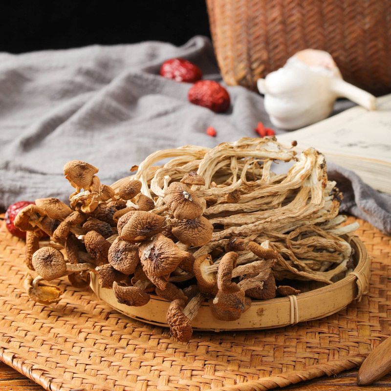 Dried Agrocybe aegerita Natural Tea Tree mashroom 5 Dried Agrocybe aegerita Natural Tea Tree mashroom - Image 5