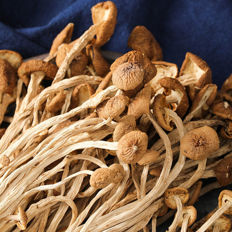 Dried Agrocybe aegerita Natural Tea Tree mashroom 4 Dried Agrocybe aegerita Natural Tea Tree mashroom - Image 4