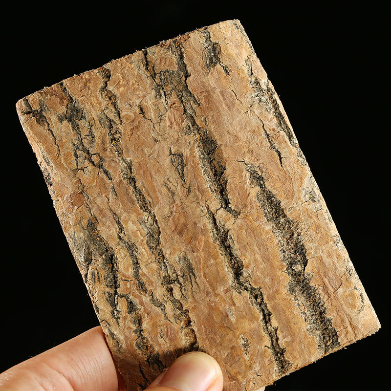 Eucommia bark