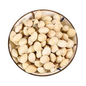 Ginkgo nuts