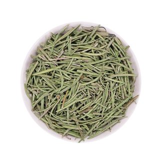 High quality spice green rosemary