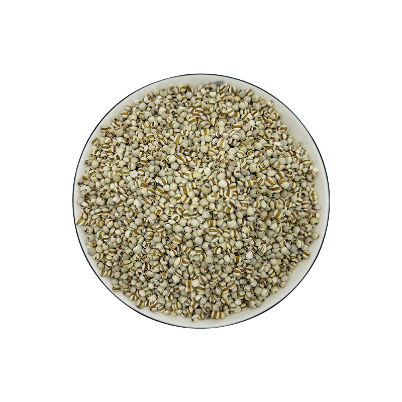 Job's tears chinese herbal medicine 1 Job's tears chinese herbal medicine