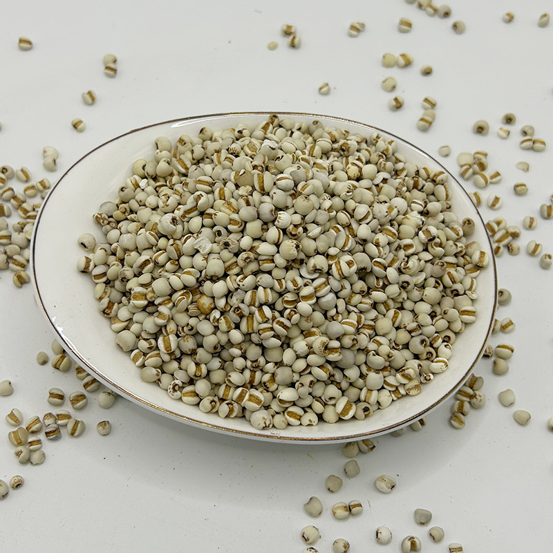 Job’s tears chinese herbal medicine