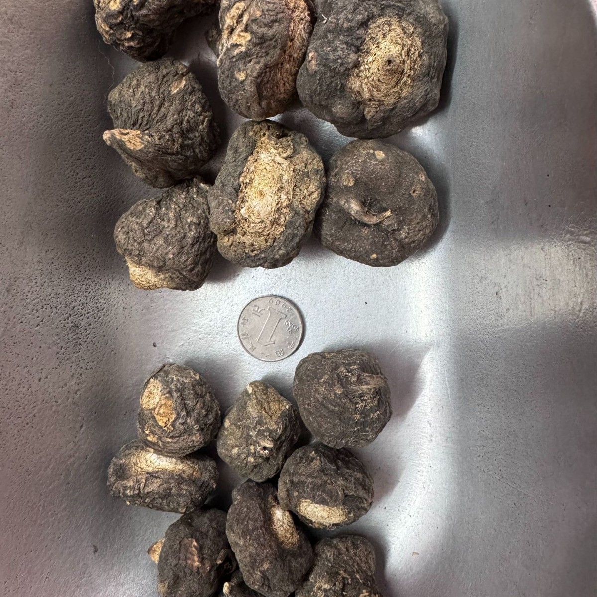 Black Maca Tablets 4 Black Maca Tablets - Image 4