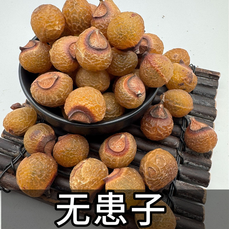 Soapberry Fruit 6 Soapberry Fruit - Image 6