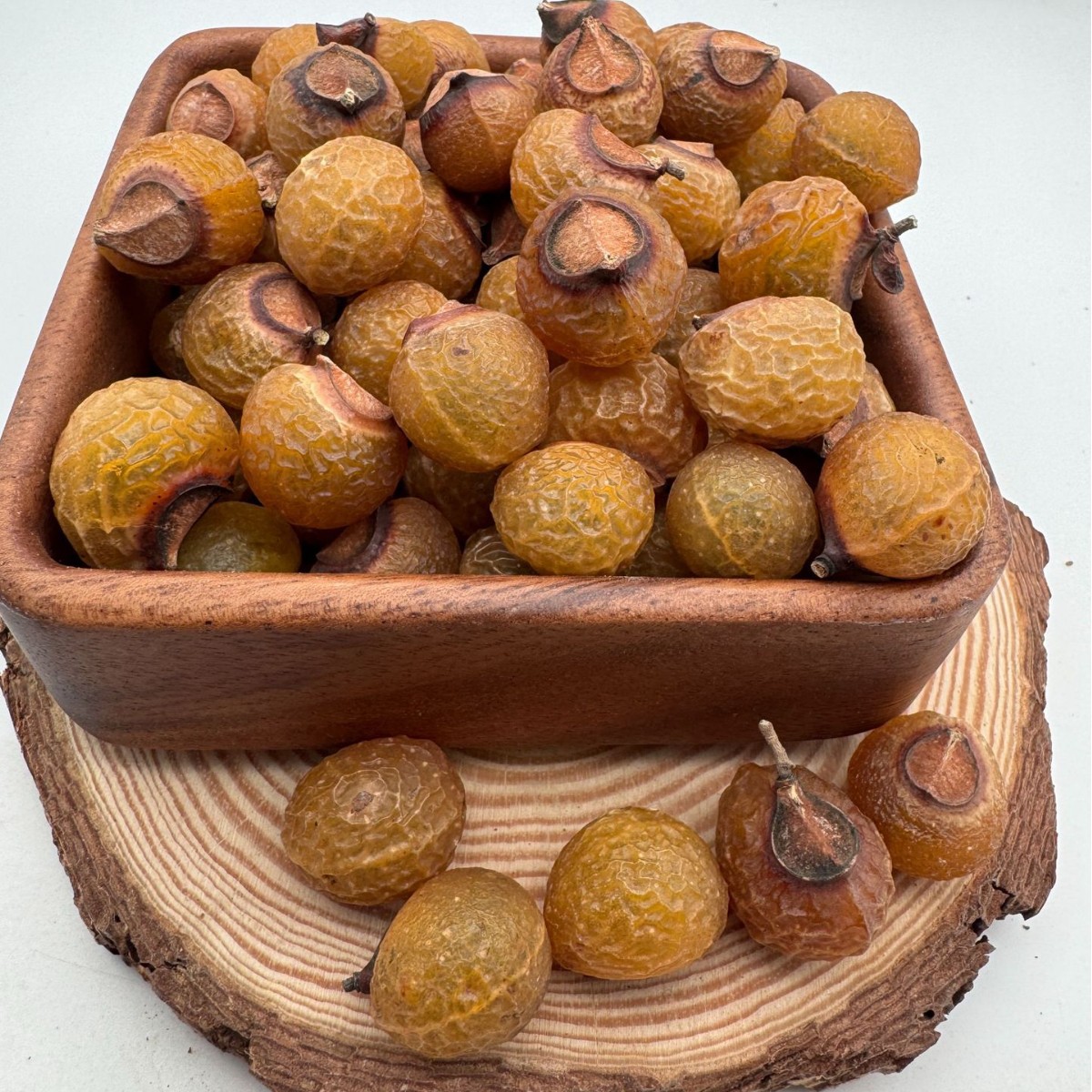 Soapberry Fruit 5 Soapberry Fruit - Image 5