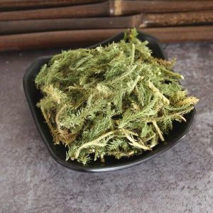 chinese hebal medicine HERBA LYCOPODII‌ 500g