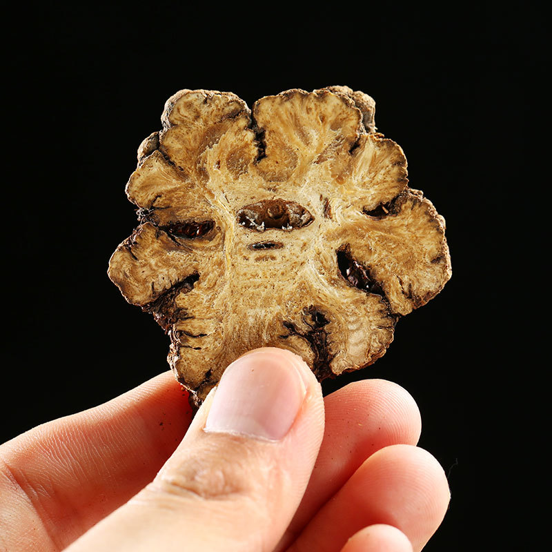 chinese herbal medicine Chuanxiong cut ‌Rhizoma Chuanxiong‌