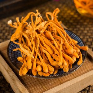 chinese herbal medicine Cordyceps Flower