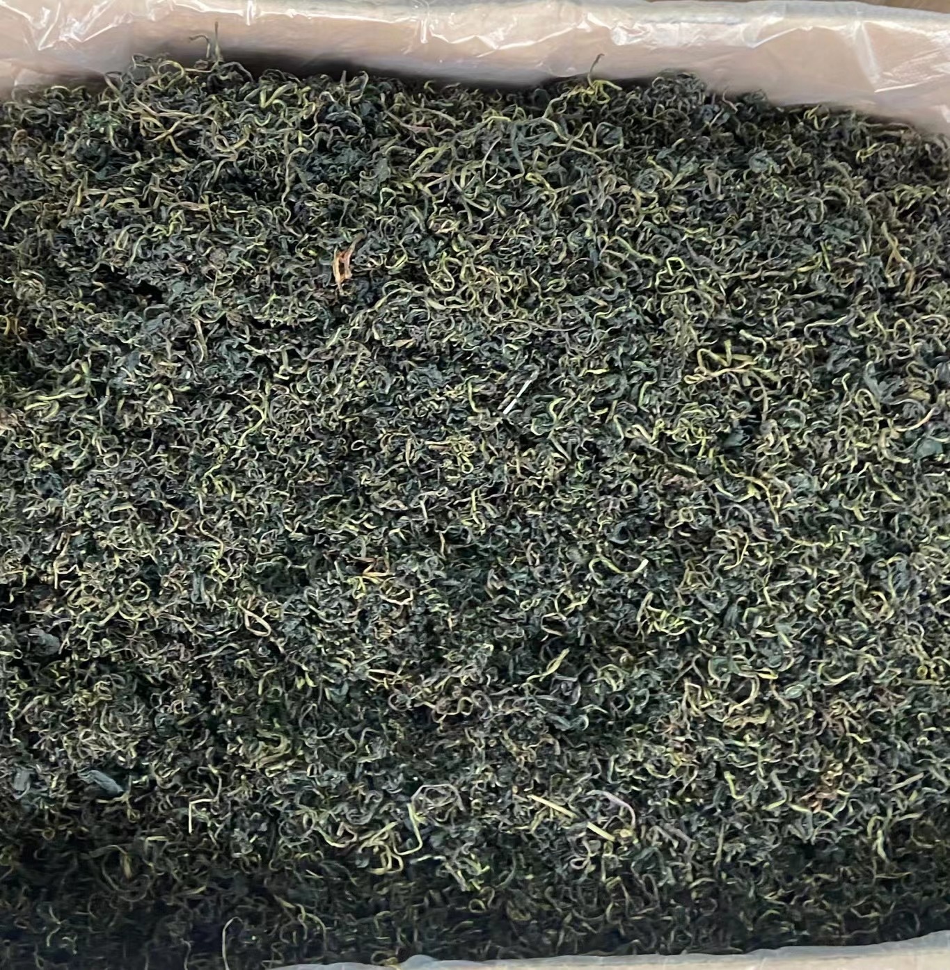 chinese herbal medicine Dandelion tea