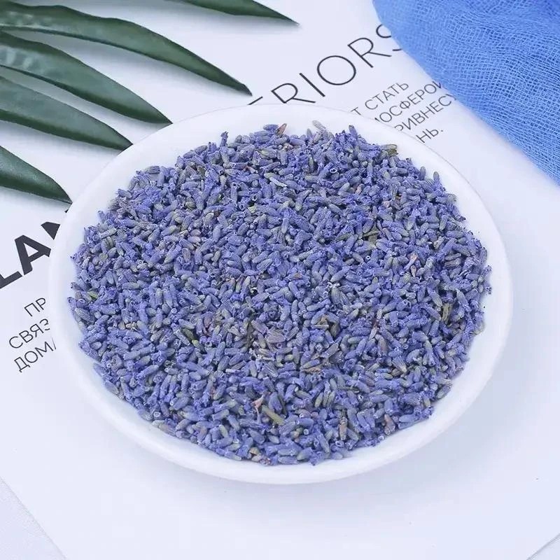 chinese herbal medicine Dried Lavender Flowers 500g