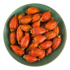 chinese herbal medicine Gardenia fruit