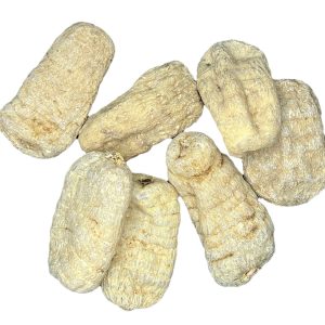 chinese herbal medicine  yunnan Gastrodia elata