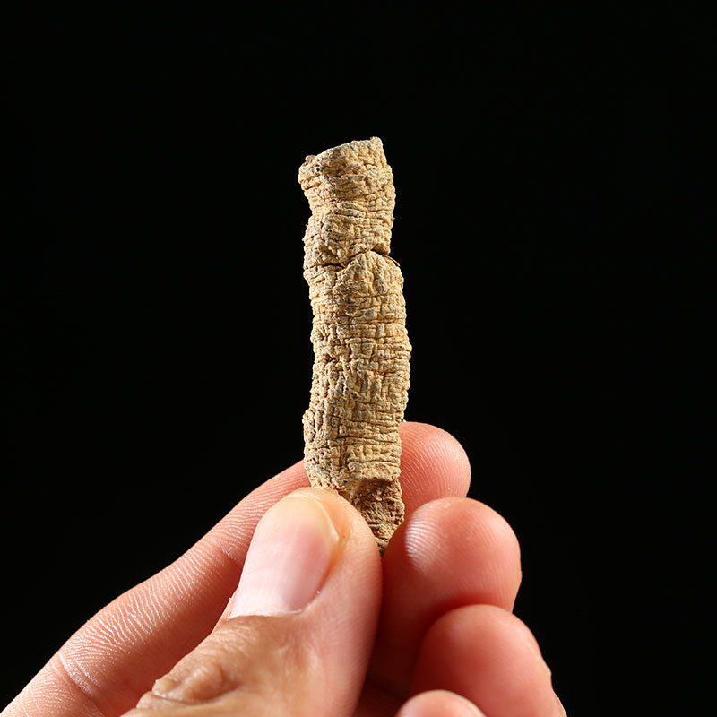 chinese herbal medicine Morinda Root 500g 3 chinese herbal medicine Morinda Root 500g - Image 3