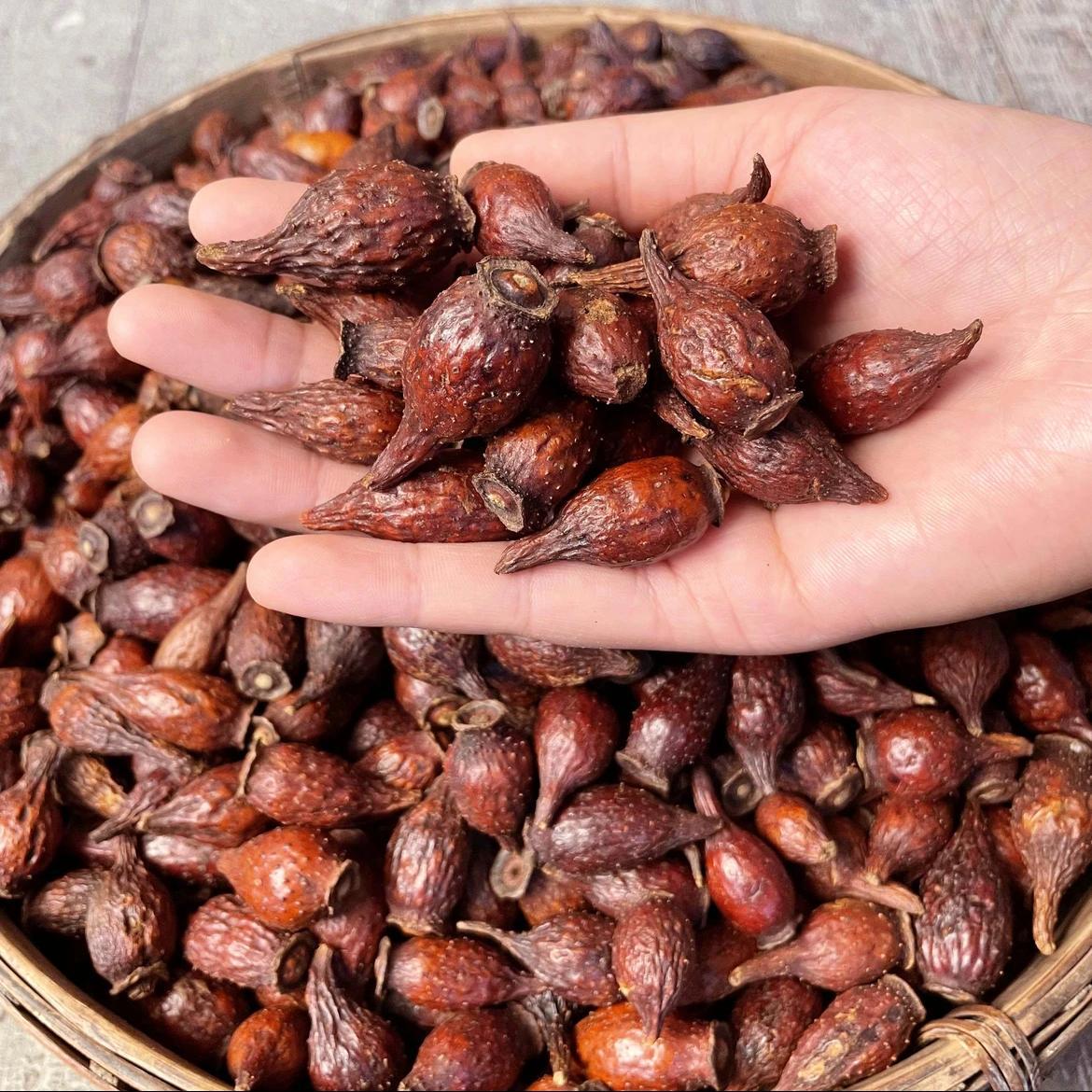 chinese herbal medicine Nature Dried Cherokee Rose Fructus Rosae Laevigatae 3 chinese herbal medicine Nature Dried Cherokee Rose Fructus Rosae Laevigatae - Image 3
