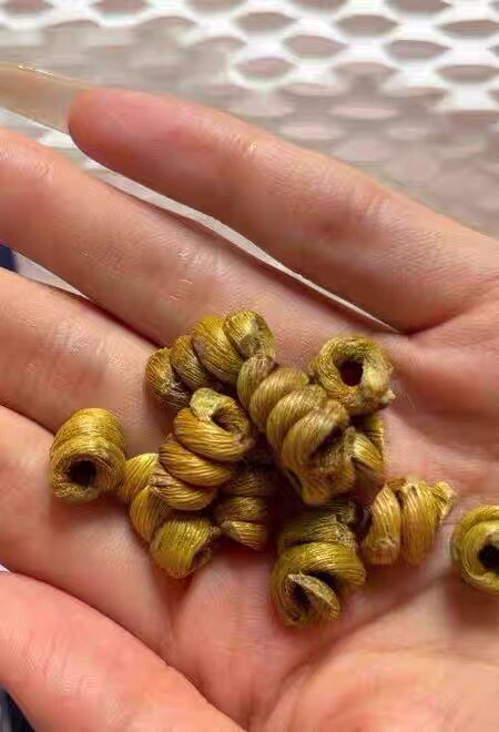 chinese herbal medicine Organic Dried Dendrobium Officinale 7 chinese herbal medicine Organic Dried Dendrobium Officinale - Image 7