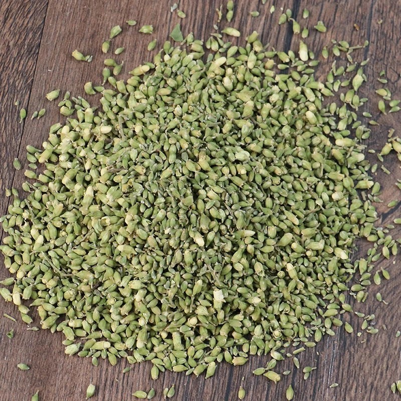 chinese herbal medicine Sophora japonica buds 6 chinese herbal medicine Sophora japonica buds - Image 6