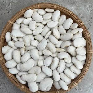 chinese herbal medicine  White Kidney Bean