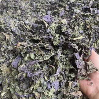 chinese herbal medicine dried Perilla leaves