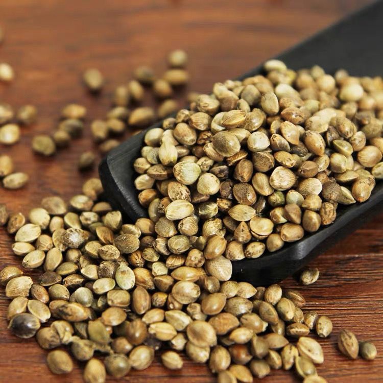 chinese herbal medicine ‌Fructus Cannabis‌ Hemp Seed‌