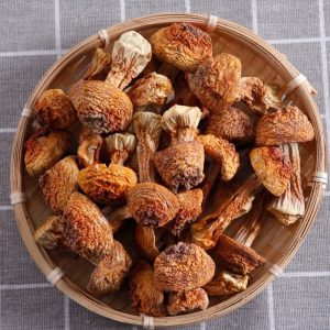 dried Matsutake‌ mushroom 500g