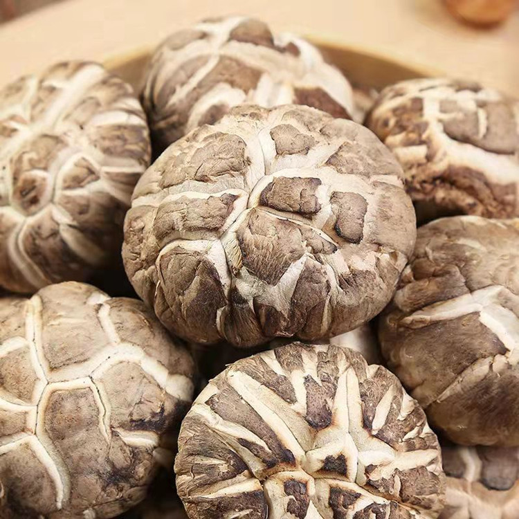 dried Shiitake mushroom Lentinus Edodes