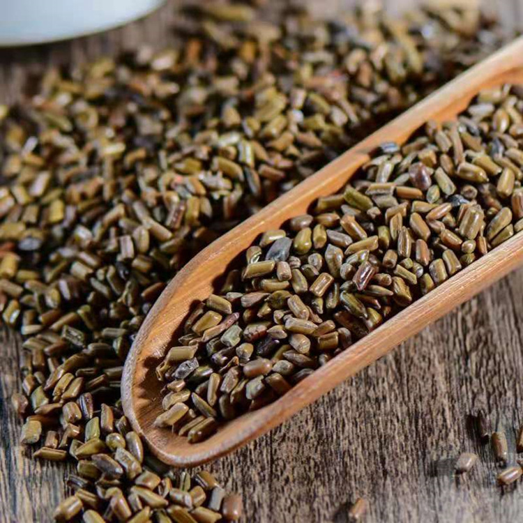 herb Cassia seeds 3 herb Cassia seeds - Image 3