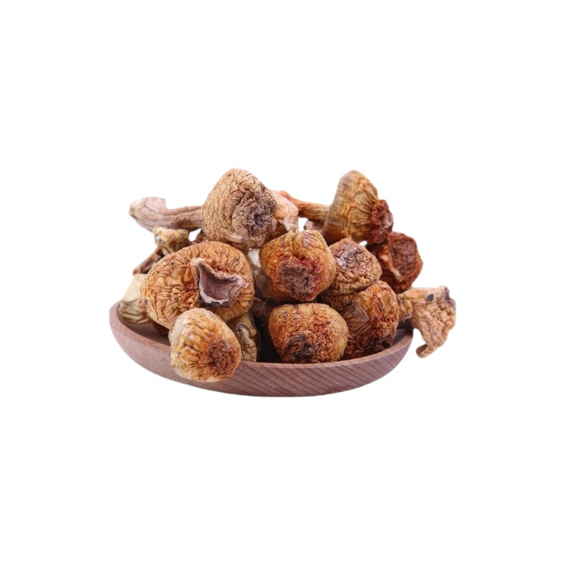 mushroom dried Matsutake fungus 1 mushroom dried Matsutake fungus