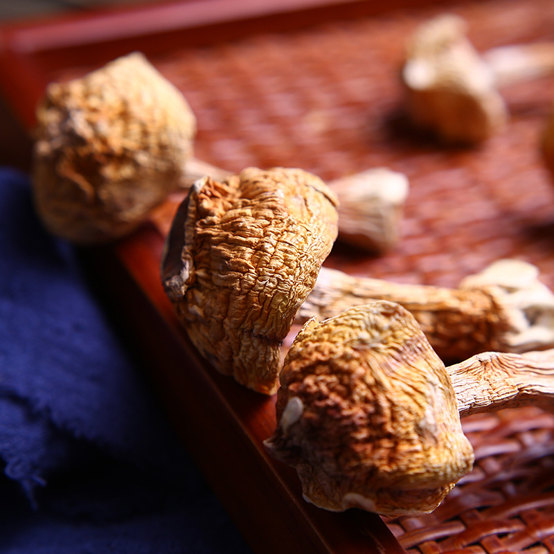 mushroom dried  Matsutake fungus