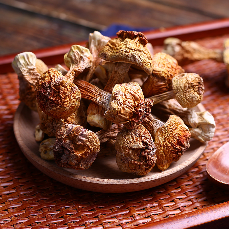 mushroom dried Matsutake fungus 5 mushroom dried Matsutake fungus - Image 5