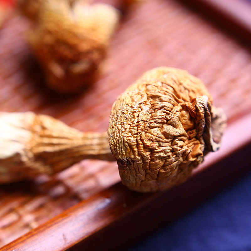 mushroom dried Matsutake fungus 6 mushroom dried Matsutake fungus - Image 6