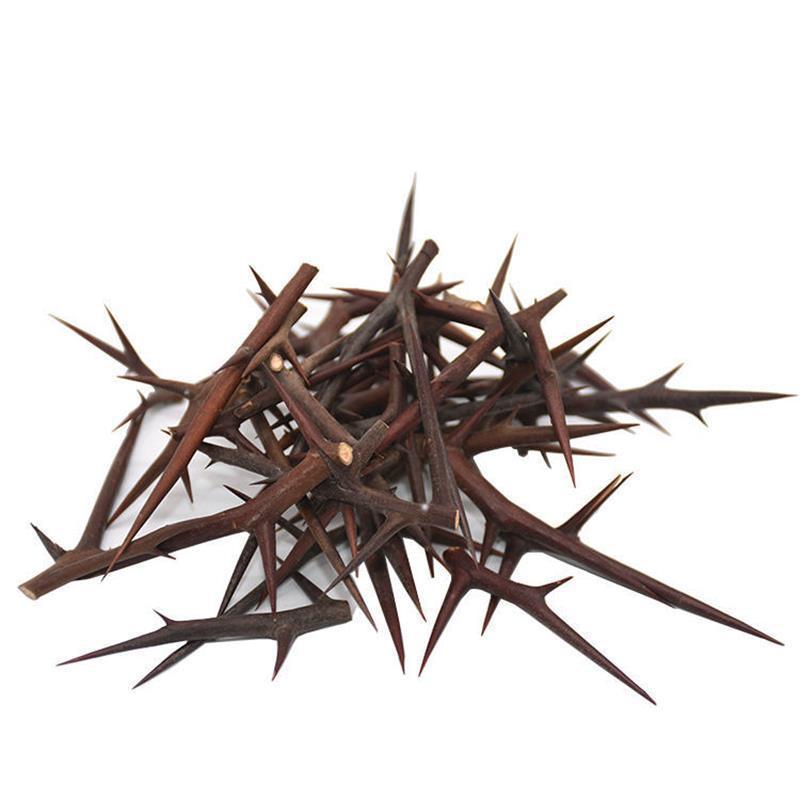 soapberry thorns 1 soapberry thorns