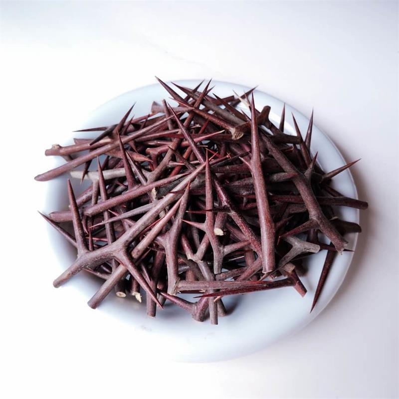 soapberry thorns