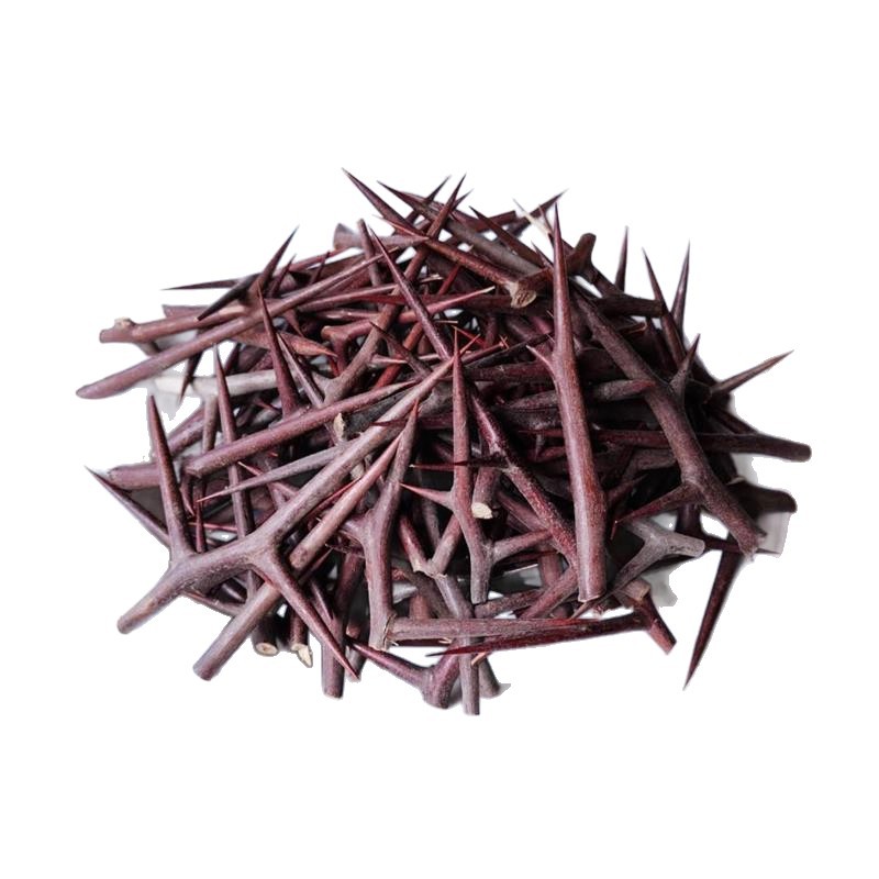 soapberry thorns 5 soapberry thorns - Image 5