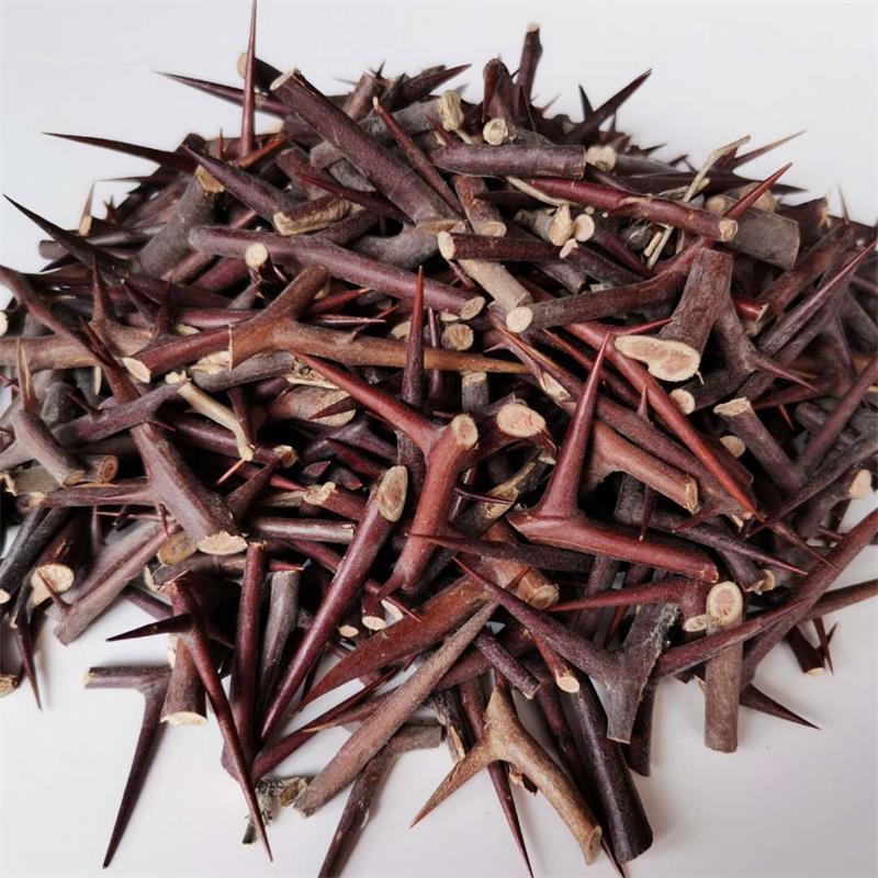soapberry thorns 4 soapberry thorns - Image 4